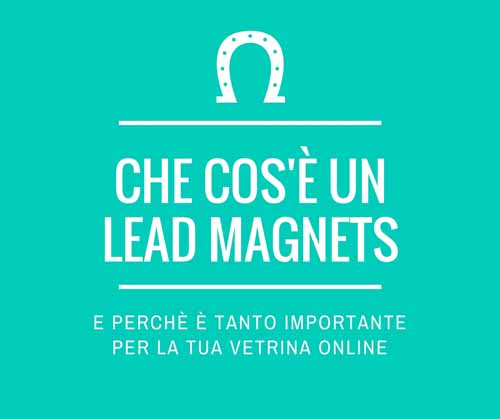 lead magnets JooMa Lead magnets JooMa