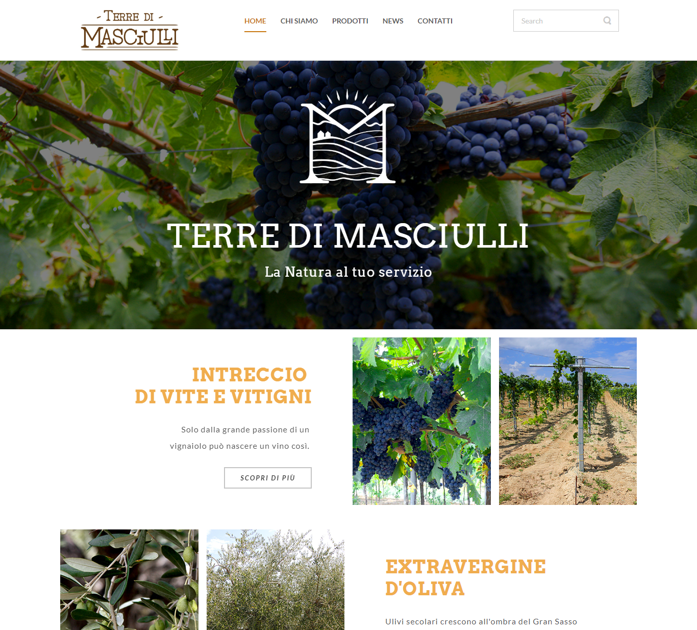 Terre di Masciulli  