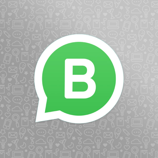 whatsapp business whatsapp business